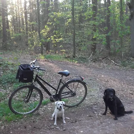 Apartmán Ferienwohnung-yosi-in-hohen-viecheln *