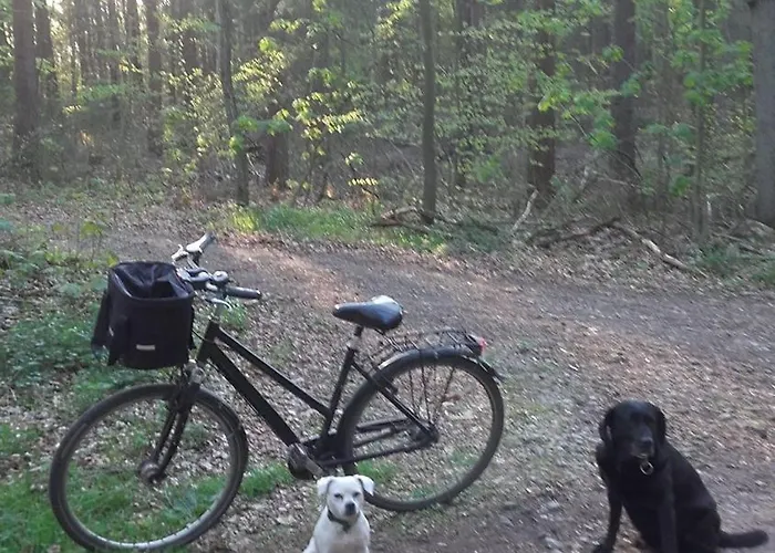 Apartamento Ferienwohnung-yosi-in-hohen-viecheln *