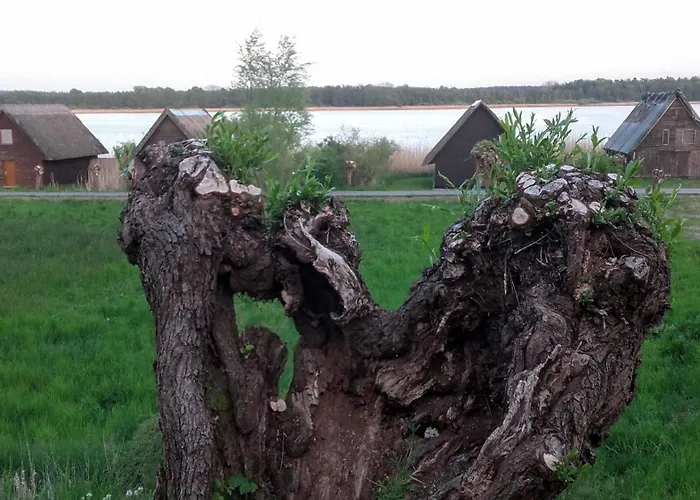 Ferienwohnung-yosi-in-hohen-viecheln *
